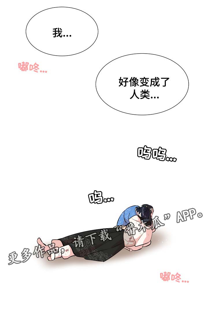 人鱼的旋律第二季中文版免费观看樱花漫画,第61章：变回人类2图