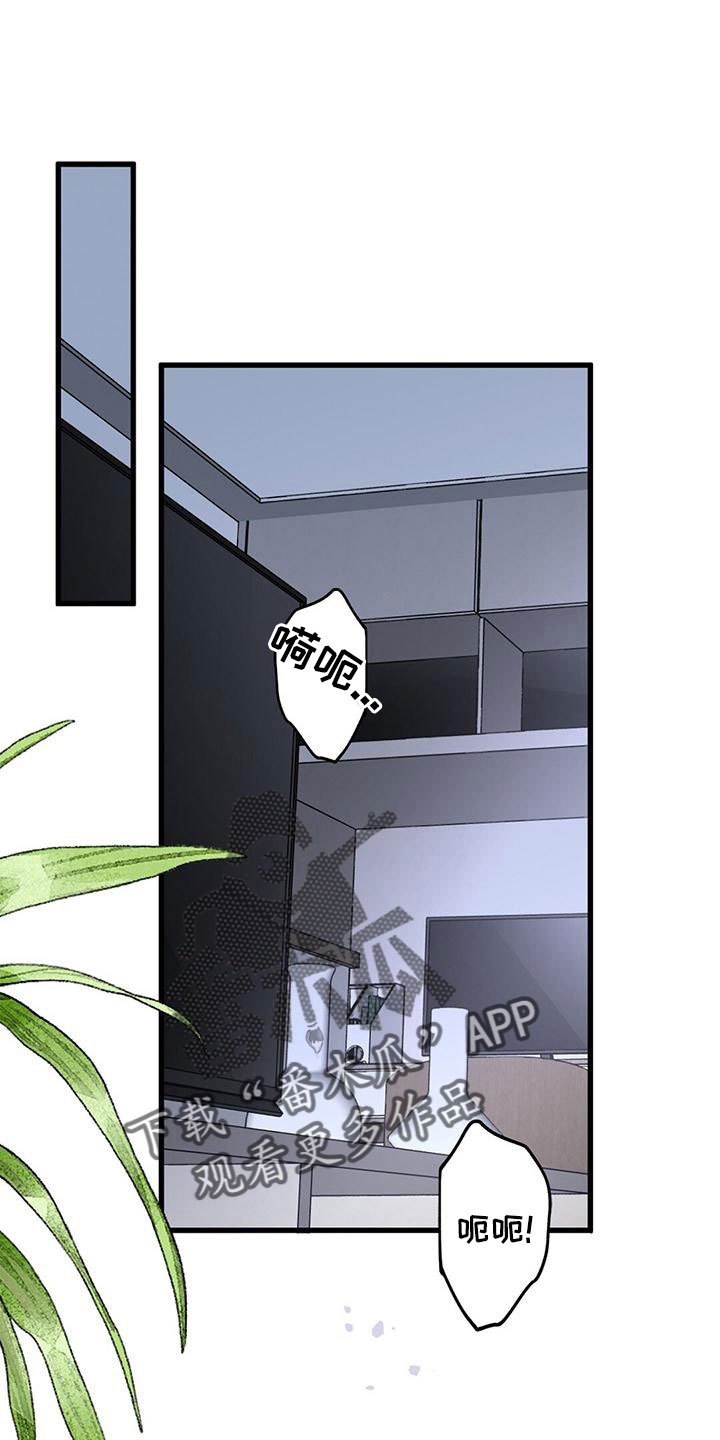 爱豆新生漫画,第63章：采访1图