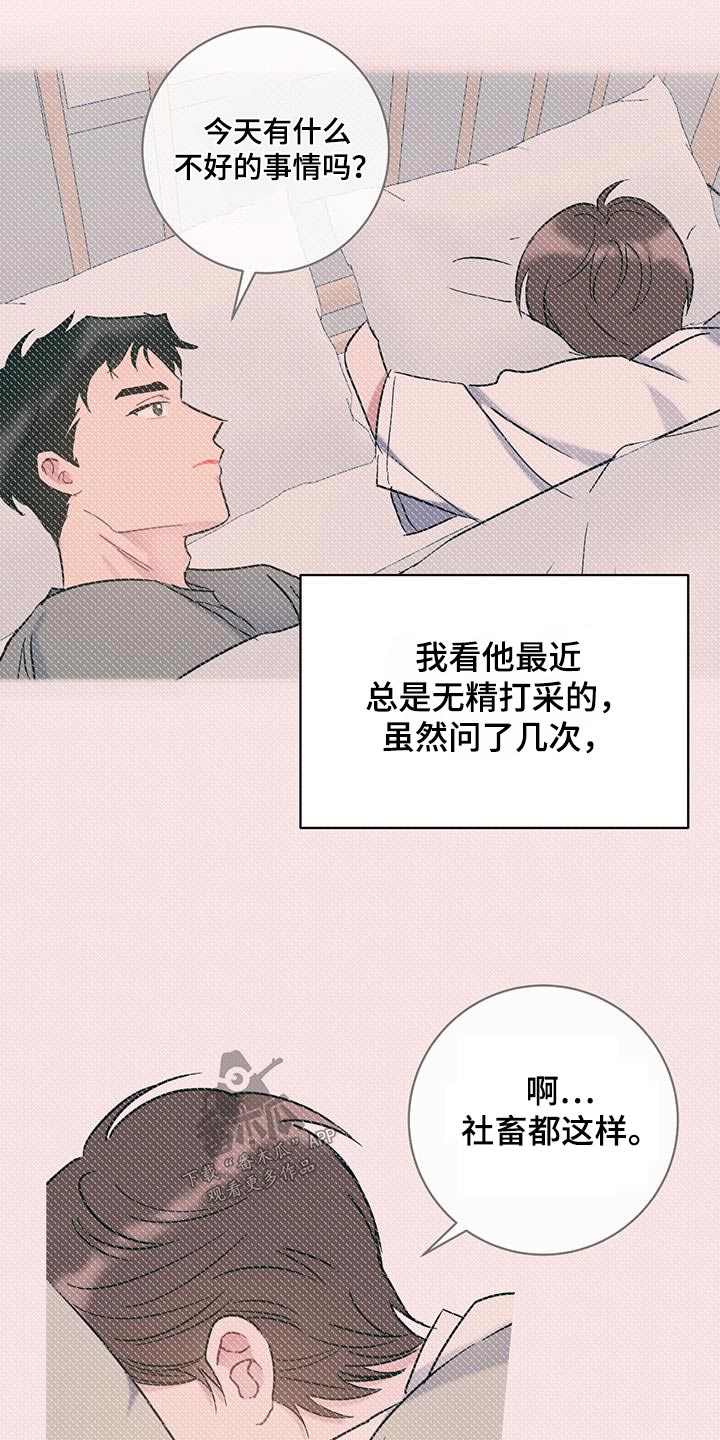 爱怜柳如烟漫画,第68章：【第二季】聚餐1图