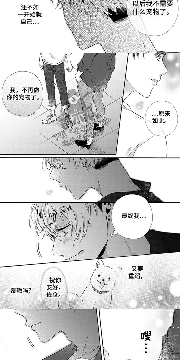 爱上我的宠物漫画,第14章：握紧你的手【完】1图