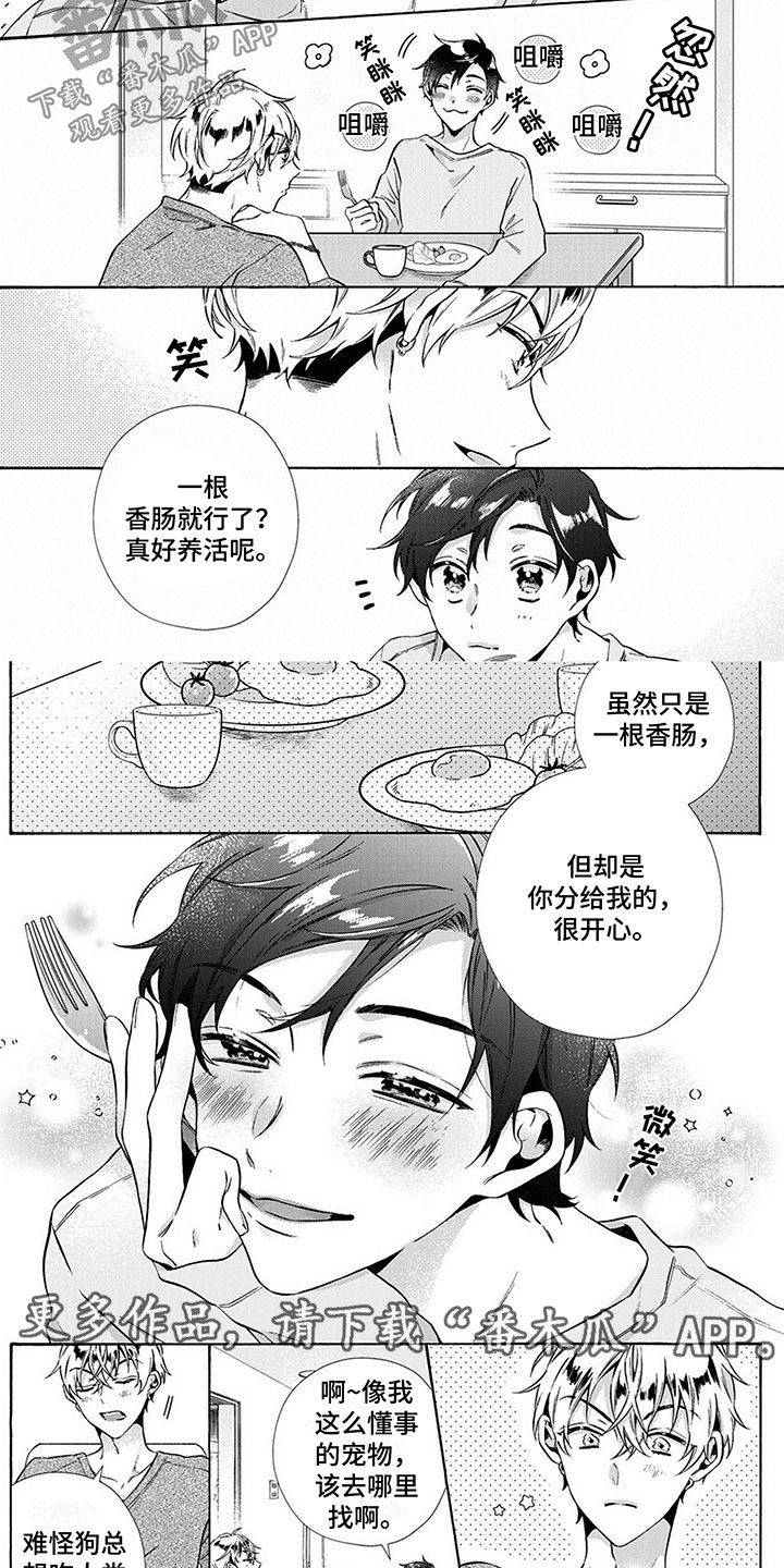 爱上我的直男班长豆瓣漫画,第5章：训练1图