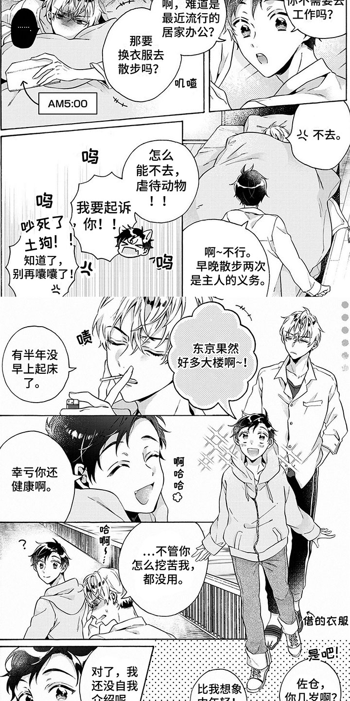 爱上我的小可爱漫画漫画,第3章：土狗2图