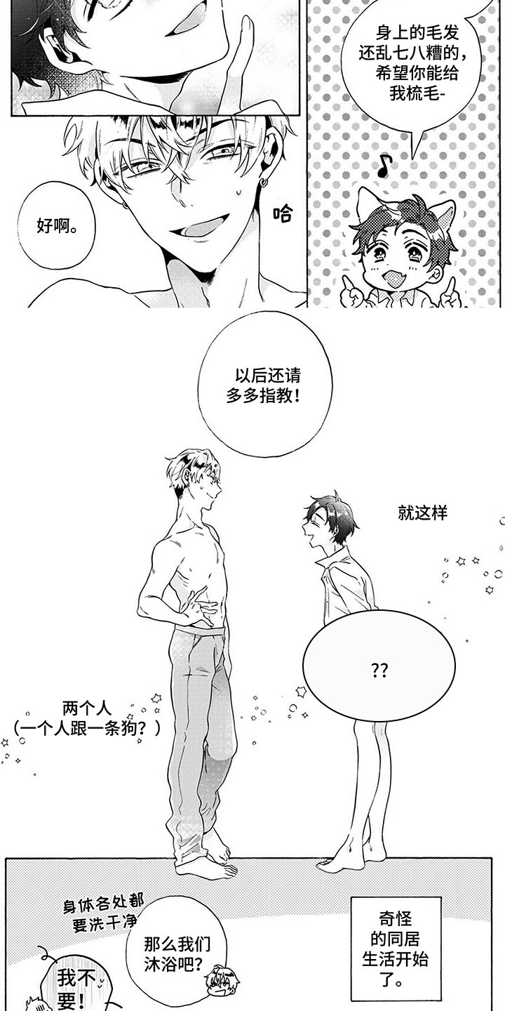 爱上我的冤家漫画,第2章：奇怪的同居1图