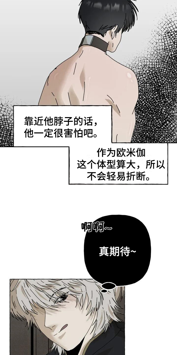 倒三角寓意漫画,第2章：喜欢1图