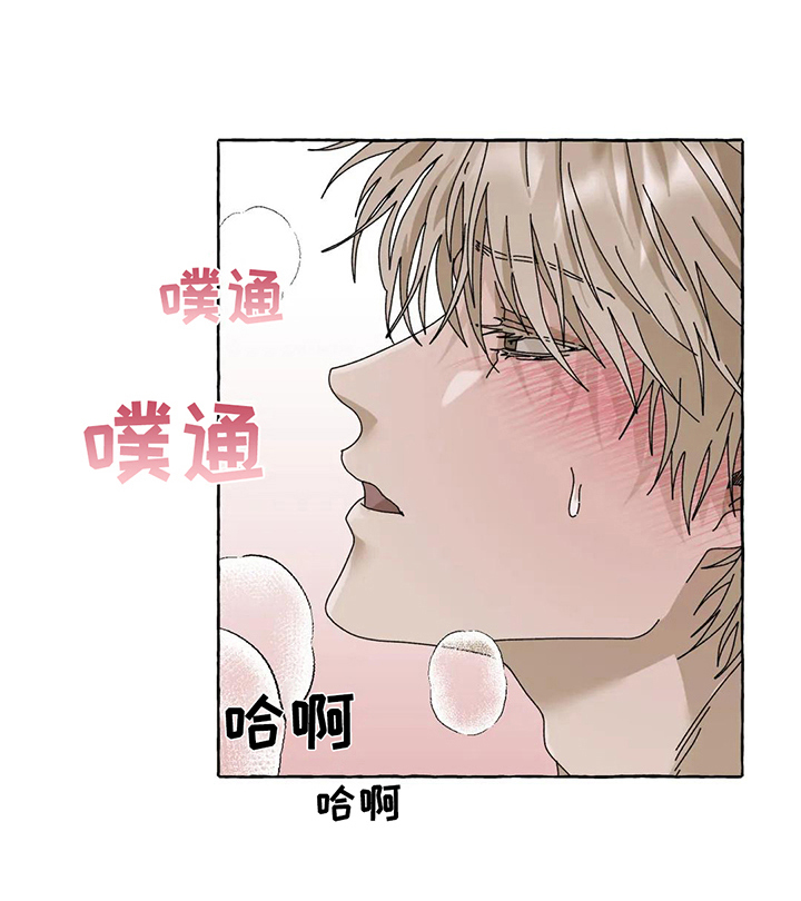 倒三角寓意漫画,第12章：不会后悔【完结】1图