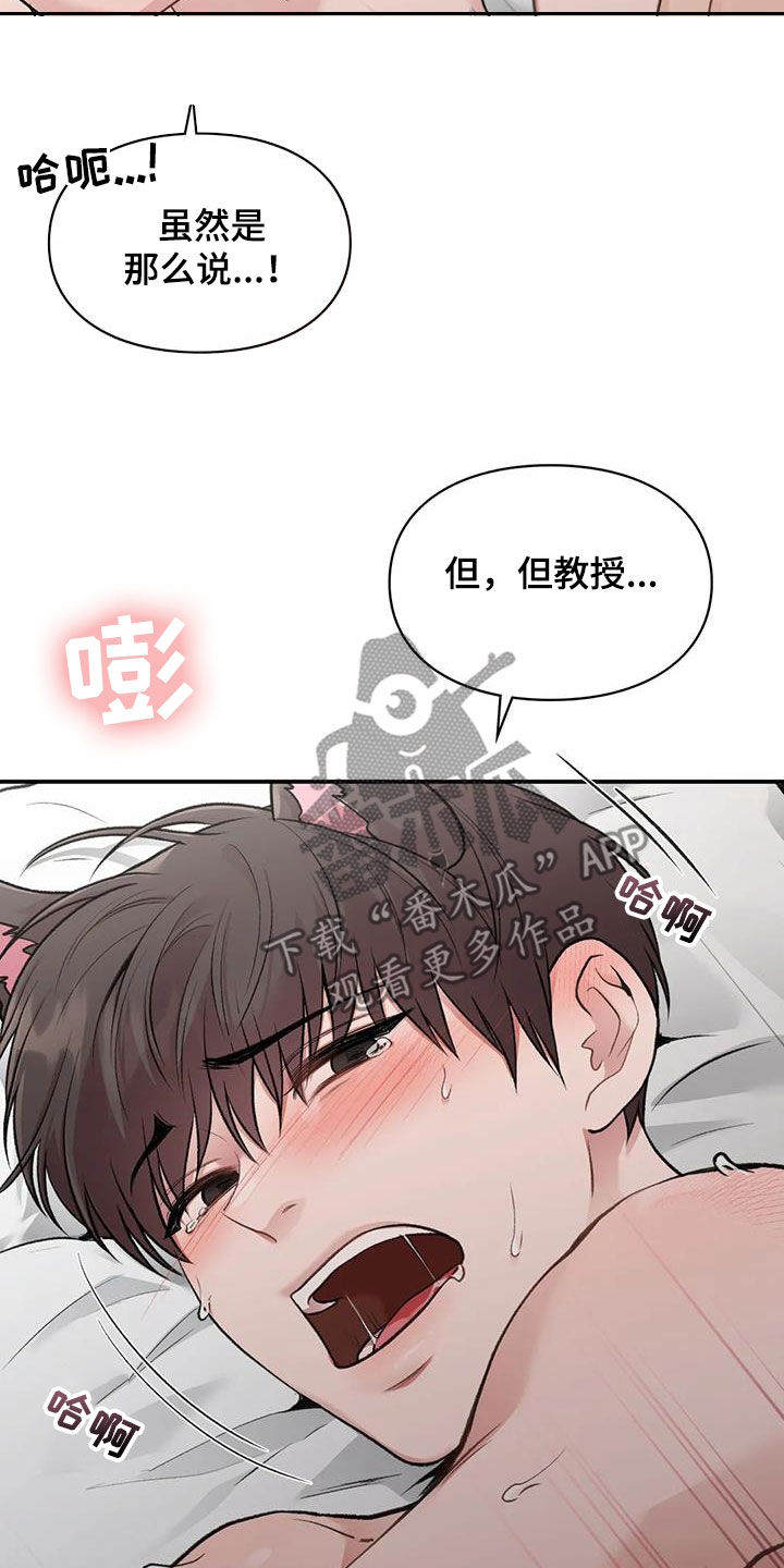 守旧迎新永不老打一生肖漫画,第55章：网开一面2图