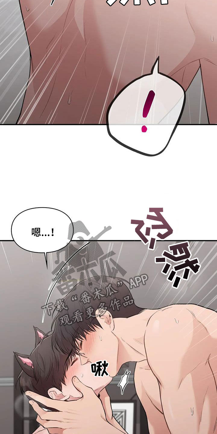 守旧漫画,第53章：小猫咪1图